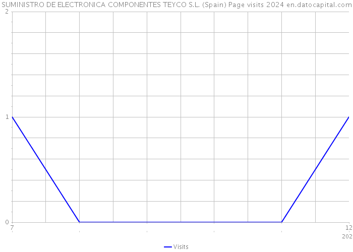 SUMINISTRO DE ELECTRONICA COMPONENTES TEYCO S.L. (Spain) Page visits 2024 