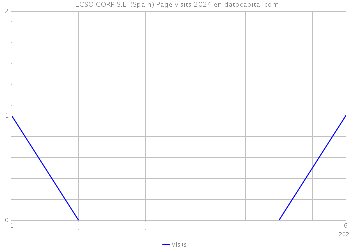 TECSO CORP S.L. (Spain) Page visits 2024 