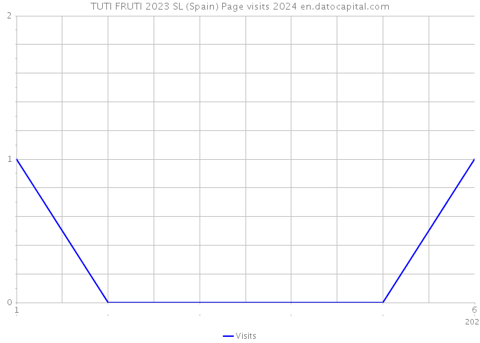 TUTI FRUTI 2023 SL (Spain) Page visits 2024 