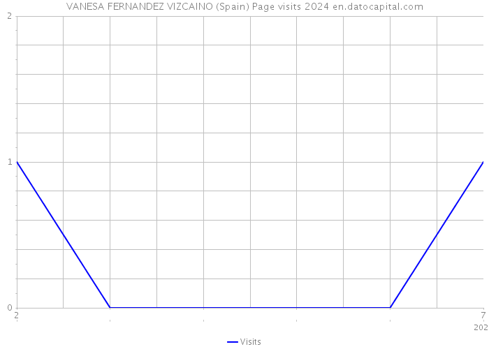 VANESA FERNANDEZ VIZCAINO (Spain) Page visits 2024 