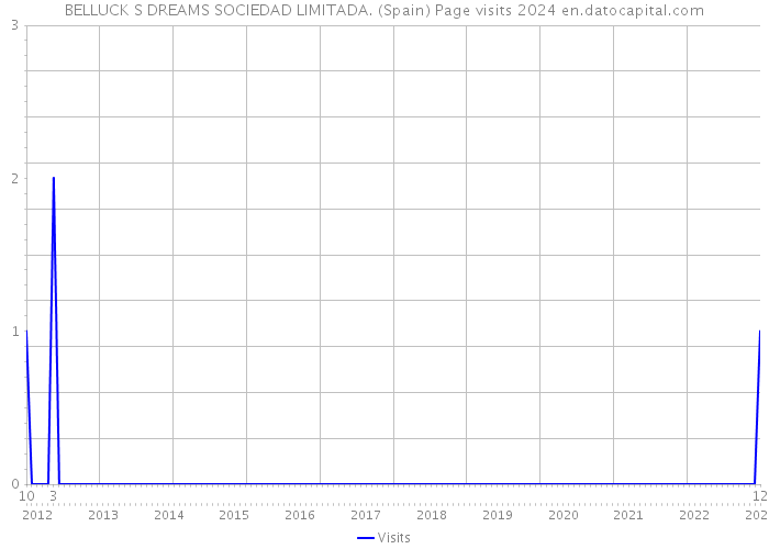 BELLUCK S DREAMS SOCIEDAD LIMITADA. (Spain) Page visits 2024 
