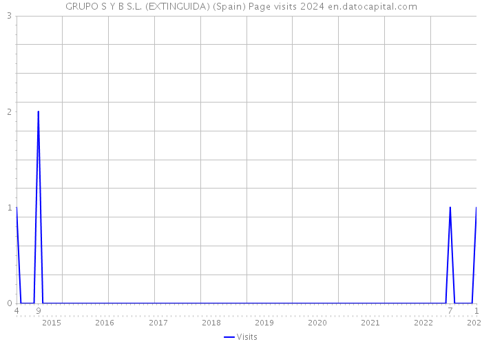 GRUPO S Y B S.L. (EXTINGUIDA) (Spain) Page visits 2024 