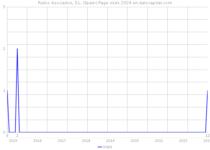 Rubio Asociados, S.L. (Spain) Page visits 2024 