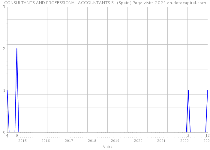 CONSULTANTS AND PROFESSIONAL ACCOUNTANTS SL (Spain) Page visits 2024 