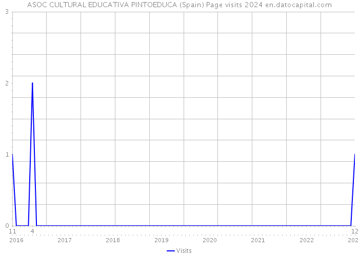 ASOC CULTURAL EDUCATIVA PINTOEDUCA (Spain) Page visits 2024 