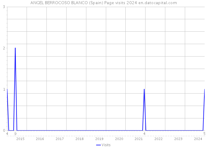 ANGEL BERROCOSO BLANCO (Spain) Page visits 2024 