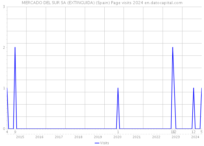 MERCADO DEL SUR SA (EXTINGUIDA) (Spain) Page visits 2024 