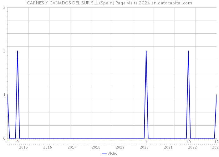 CARNES Y GANADOS DEL SUR SLL (Spain) Page visits 2024 