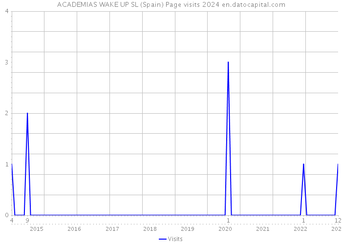 ACADEMIAS WAKE UP SL (Spain) Page visits 2024 