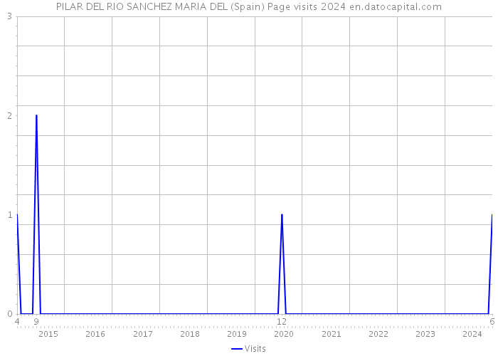 PILAR DEL RIO SANCHEZ MARIA DEL (Spain) Page visits 2024 