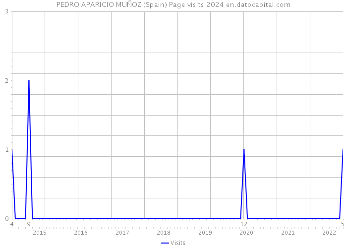 PEDRO APARICIO MUÑOZ (Spain) Page visits 2024 