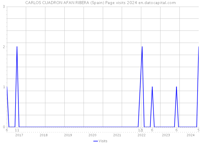 CARLOS CUADRON AFAN RIBERA (Spain) Page visits 2024 