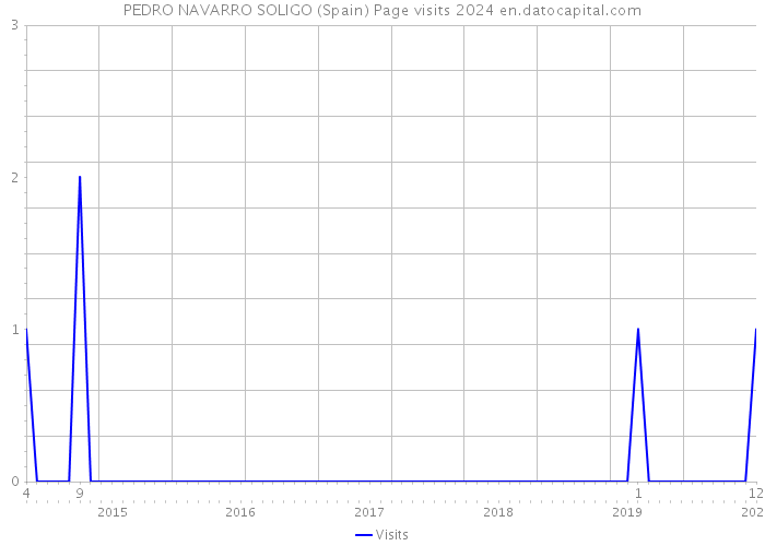 PEDRO NAVARRO SOLIGO (Spain) Page visits 2024 