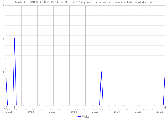 MARIA PURIFICACION PIDAL RODRIGUEZ (Spain) Page visits 2024 