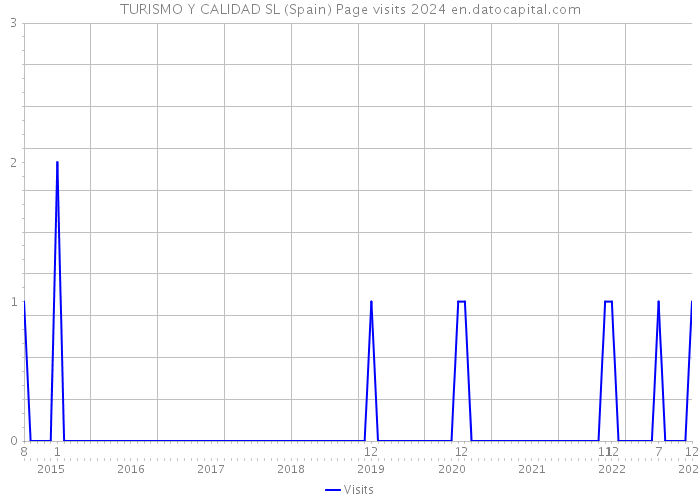 TURISMO Y CALIDAD SL (Spain) Page visits 2024 