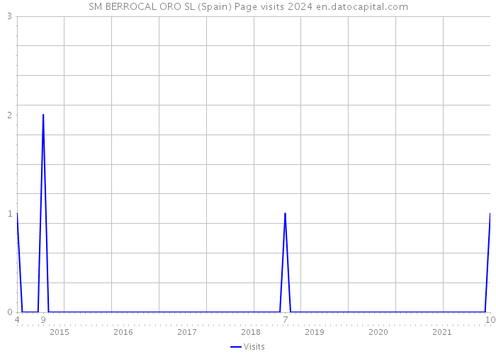 SM BERROCAL ORO SL (Spain) Page visits 2024 