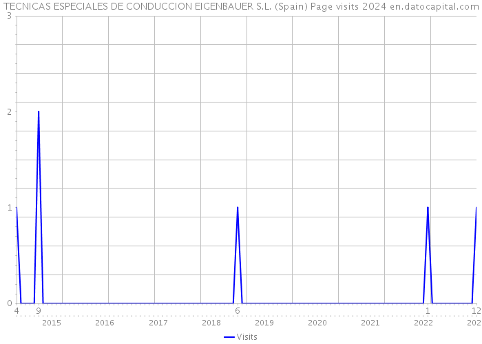 TECNICAS ESPECIALES DE CONDUCCION EIGENBAUER S.L. (Spain) Page visits 2024 