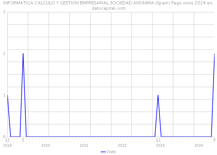 INFORMATICA CALCULO Y GESTION EMPRESARIAL SOCIEDAD ANONIMA (Spain) Page visits 2024 