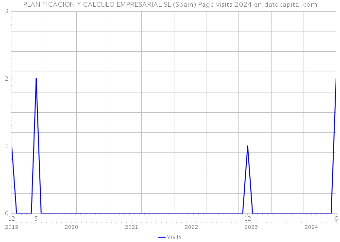 PLANIFICACION Y CALCULO EMPRESARIAL SL (Spain) Page visits 2024 