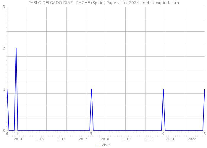 PABLO DELGADO DIAZ- PACHE (Spain) Page visits 2024 