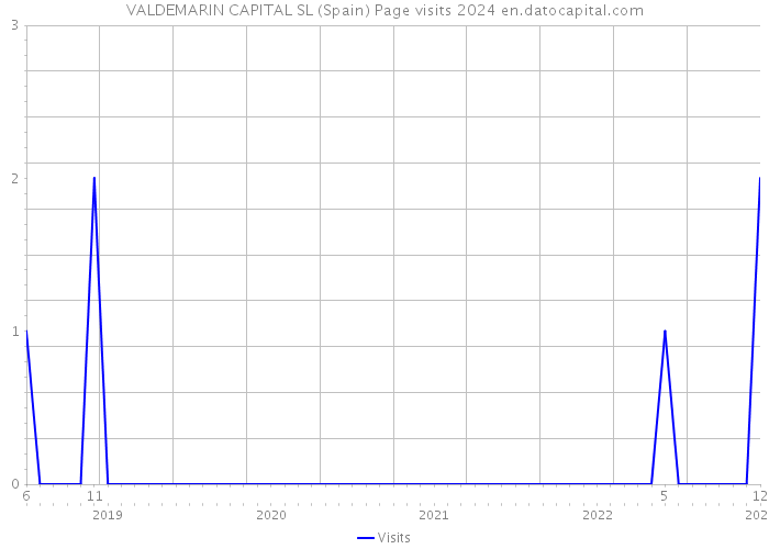 VALDEMARIN CAPITAL SL (Spain) Page visits 2024 