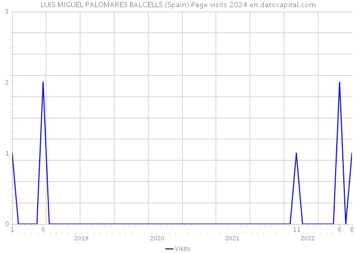 LUIS MIGUEL PALOMARES BALCELLS (Spain) Page visits 2024 