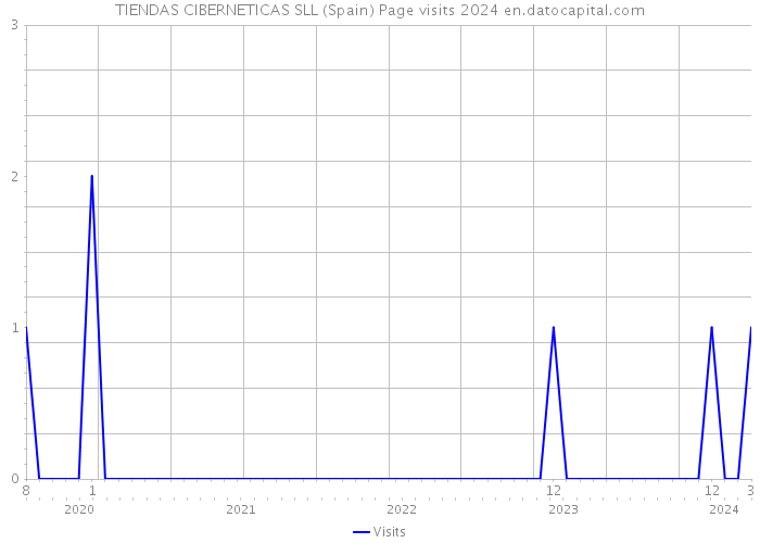 TIENDAS CIBERNETICAS SLL (Spain) Page visits 2024 