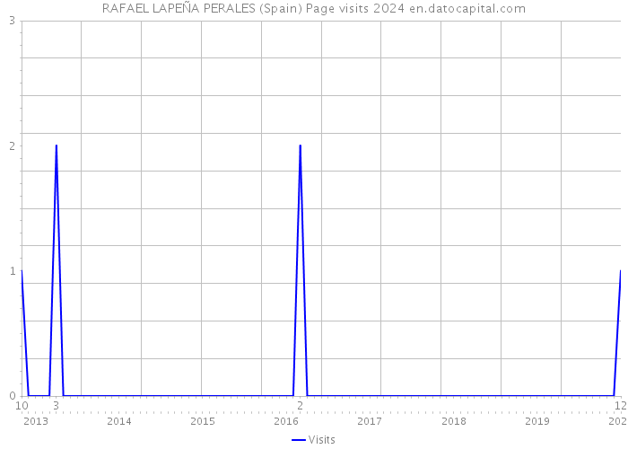 RAFAEL LAPEÑA PERALES (Spain) Page visits 2024 