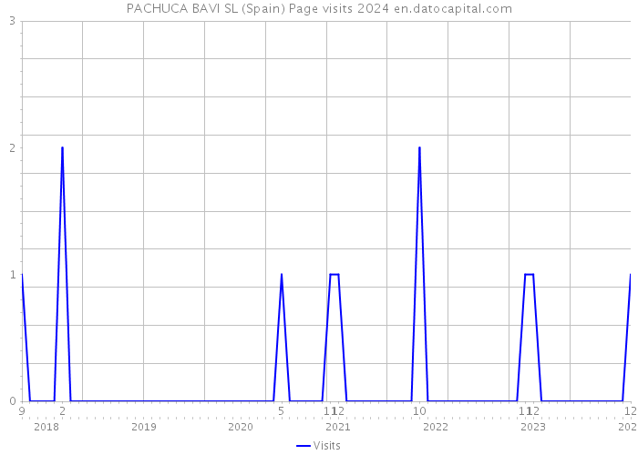 PACHUCA BAVI SL (Spain) Page visits 2024 