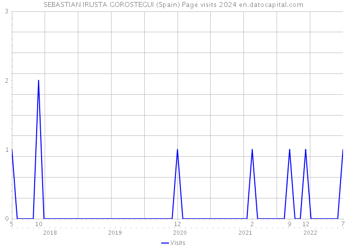 SEBASTIAN IRUSTA GOROSTEGUI (Spain) Page visits 2024 