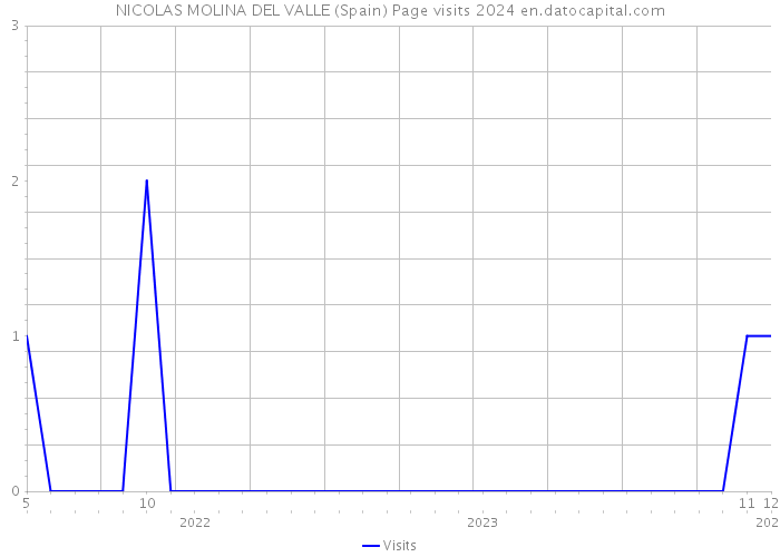 NICOLAS MOLINA DEL VALLE (Spain) Page visits 2024 
