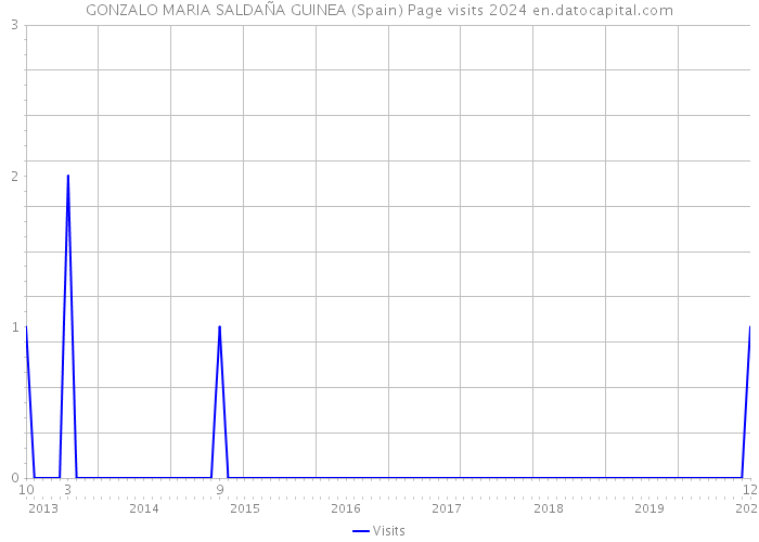 GONZALO MARIA SALDAÑA GUINEA (Spain) Page visits 2024 