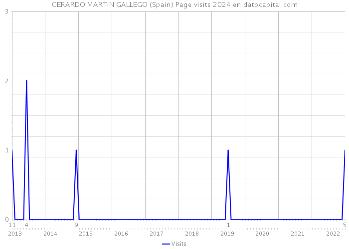 GERARDO MARTIN GALLEGO (Spain) Page visits 2024 