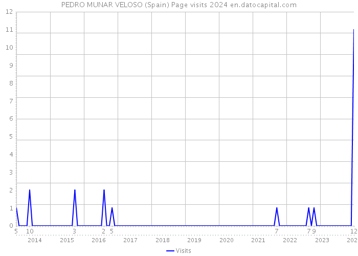 PEDRO MUNAR VELOSO (Spain) Page visits 2024 