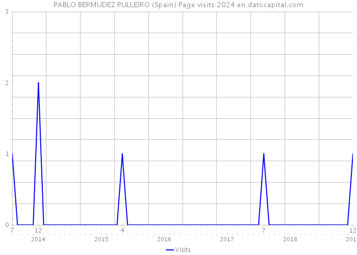 PABLO BERMUDEZ PULLEIRO (Spain) Page visits 2024 