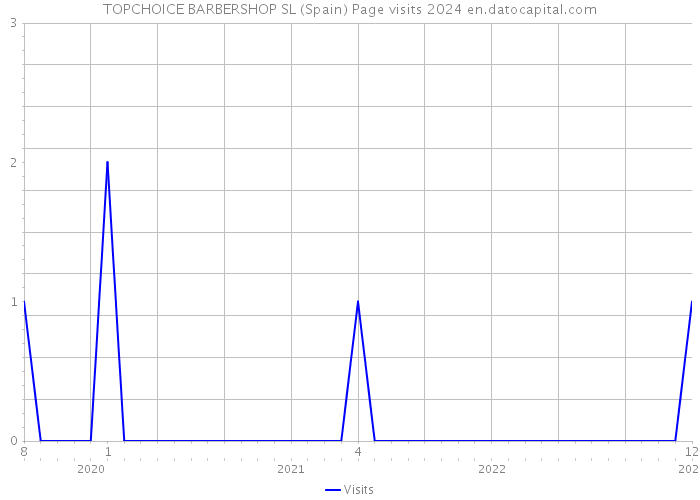 TOPCHOICE BARBERSHOP SL (Spain) Page visits 2024 