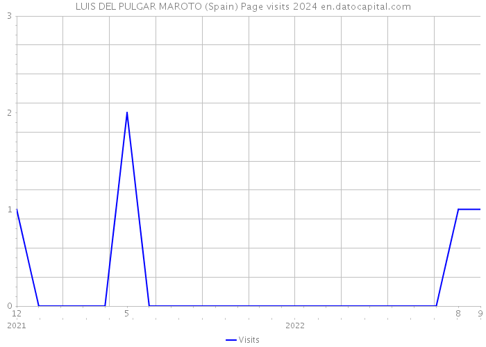 LUIS DEL PULGAR MAROTO (Spain) Page visits 2024 