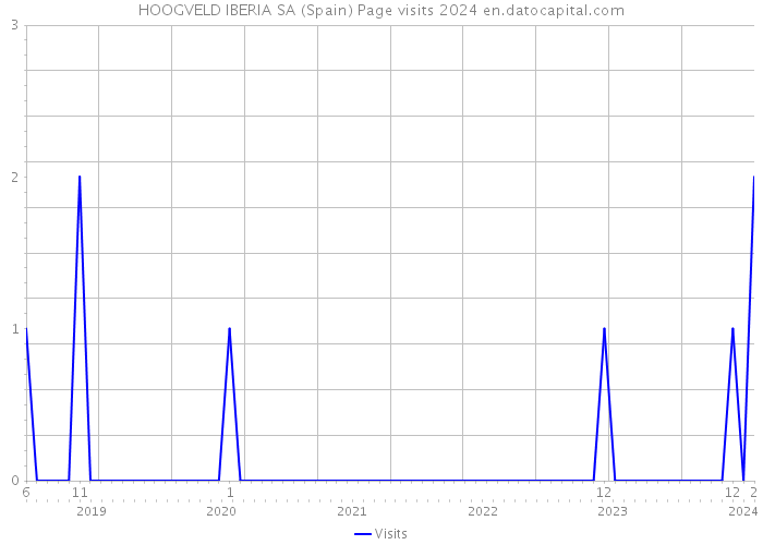 HOOGVELD IBERIA SA (Spain) Page visits 2024 