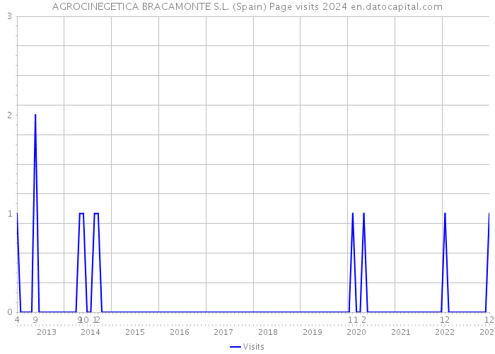 AGROCINEGETICA BRACAMONTE S.L. (Spain) Page visits 2024 