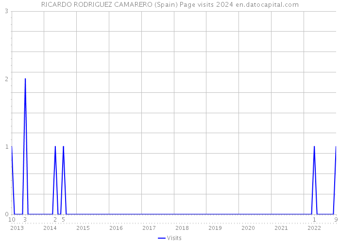 RICARDO RODRIGUEZ CAMARERO (Spain) Page visits 2024 