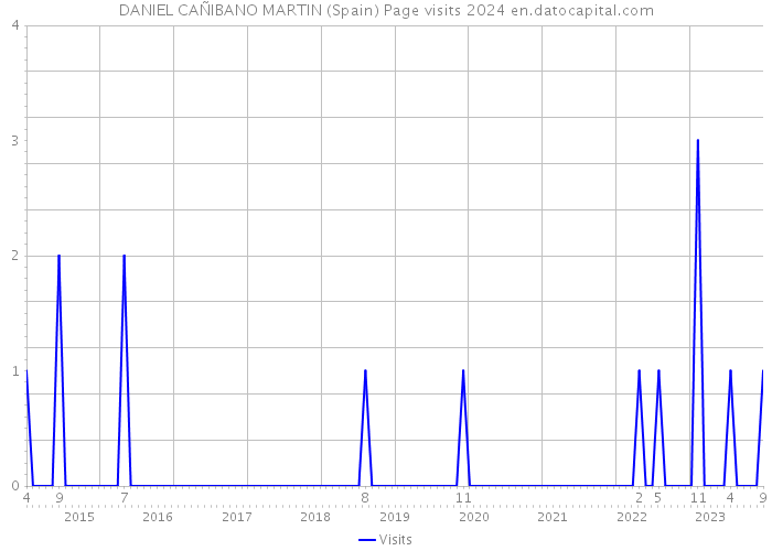 DANIEL CAÑIBANO MARTIN (Spain) Page visits 2024 