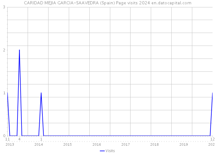 CARIDAD MEJIA GARCIA-SAAVEDRA (Spain) Page visits 2024 