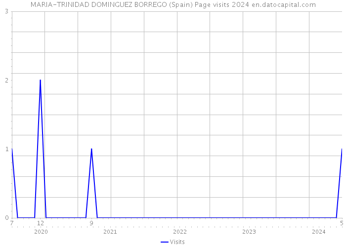 MARIA-TRINIDAD DOMINGUEZ BORREGO (Spain) Page visits 2024 