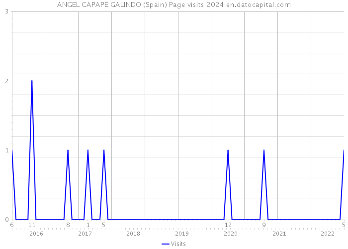 ANGEL CAPAPE GALINDO (Spain) Page visits 2024 