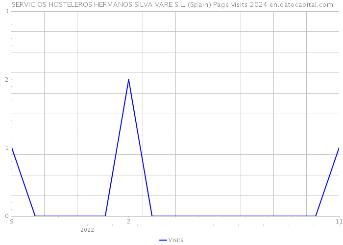  SERVICIOS HOSTELEROS HERMANOS SILVA VARE S.L. (Spain) Page visits 2024 