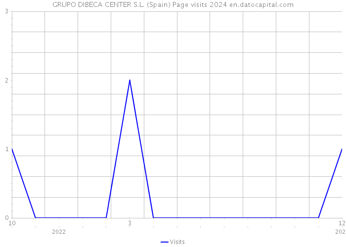 GRUPO DIBECA CENTER S.L. (Spain) Page visits 2024 