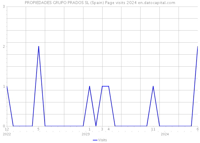PROPIEDADES GRUPO PRADOS SL (Spain) Page visits 2024 