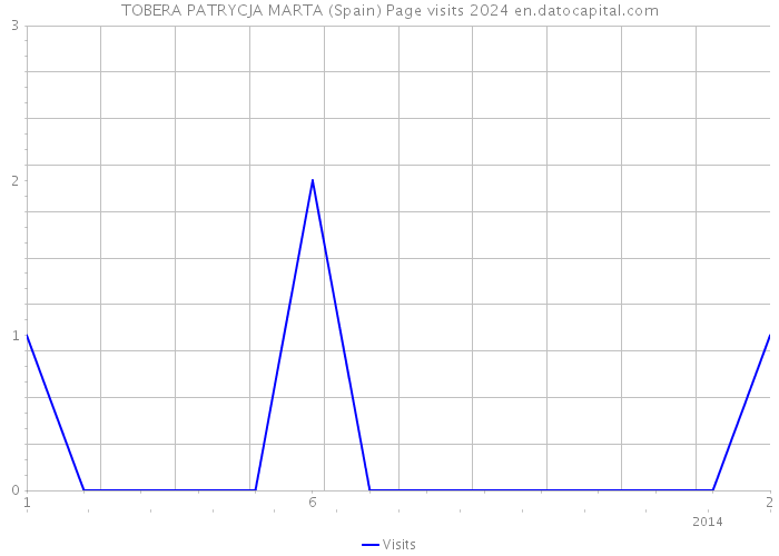 TOBERA PATRYCJA MARTA (Spain) Page visits 2024 