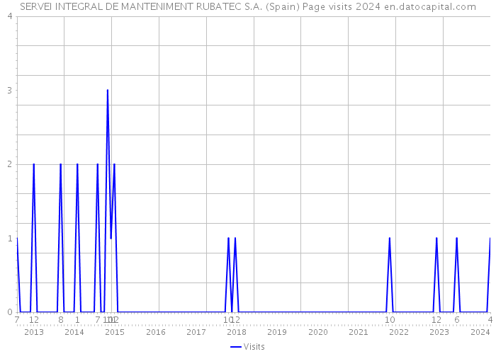 SERVEI INTEGRAL DE MANTENIMENT RUBATEC S.A. (Spain) Page visits 2024 