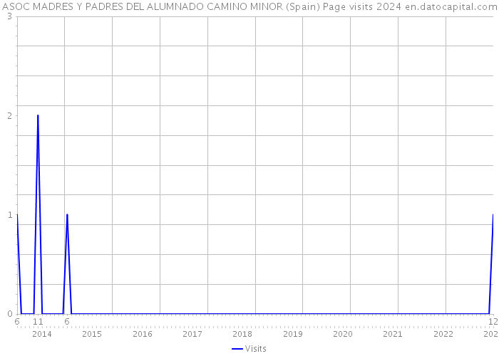 ASOC MADRES Y PADRES DEL ALUMNADO CAMINO MINOR (Spain) Page visits 2024 